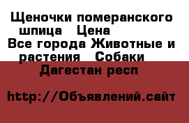 Щеночки померанского шпица › Цена ­ 25 000 - Все города Животные и растения » Собаки   . Дагестан респ.